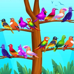 Color Bird Sort Puzzle Games