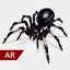 icone application AR Spiders