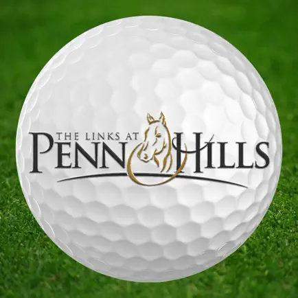 The Links at Penn Hills Читы