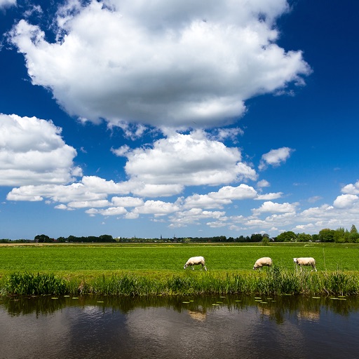 The Weather in the Netherlands HD