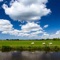 Stay up to date with the current weather conditions in the Netherlands on your iPad