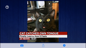 News Maker - Create The News screenshot