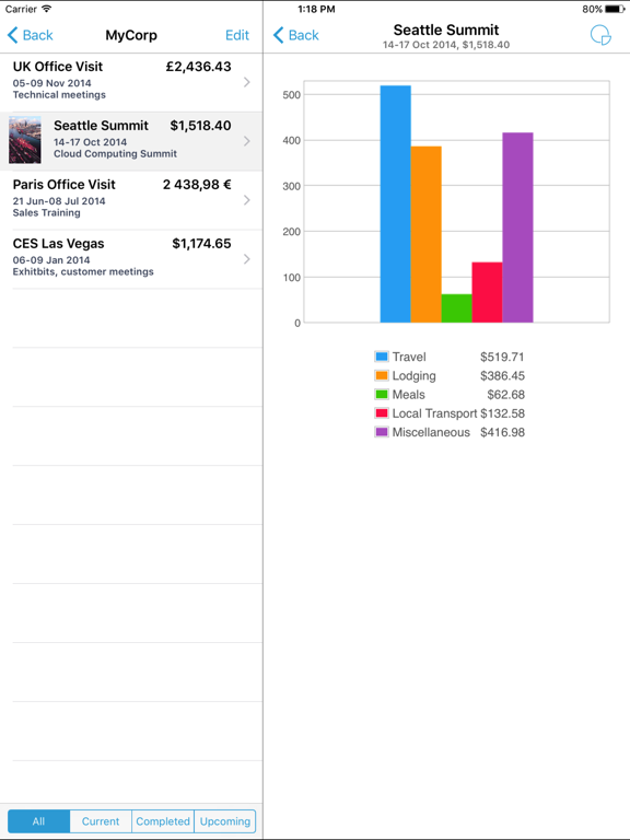 Screenshot #6 pour BizExpenseLite