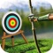 Join the worldwide archery match and compete the archery masters from all over the world