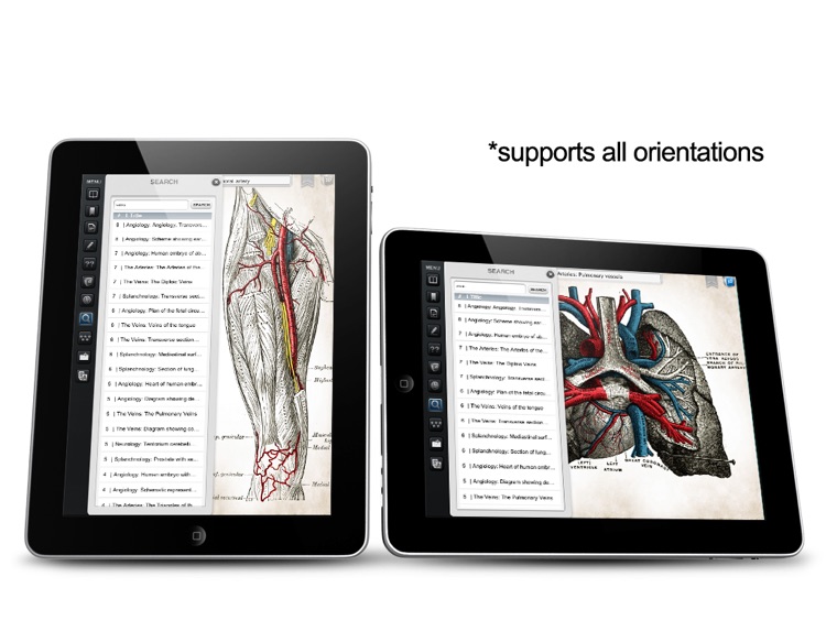 Gray's Anatomy Premium for iPad screenshot-3