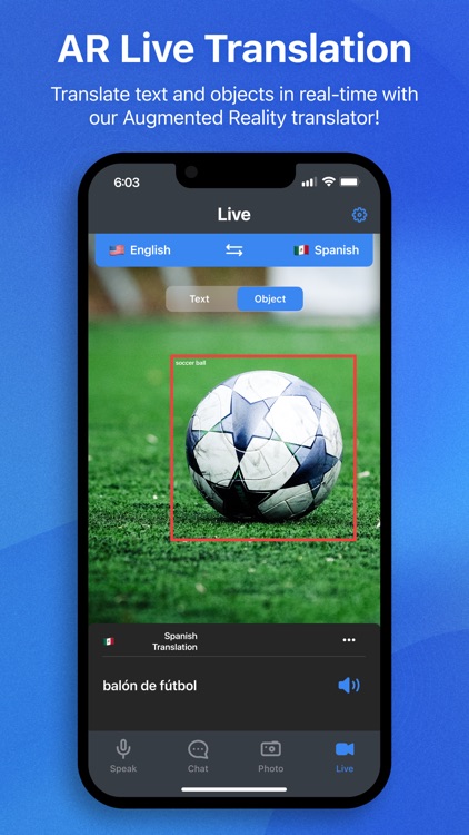 Translate Anything screenshot-3