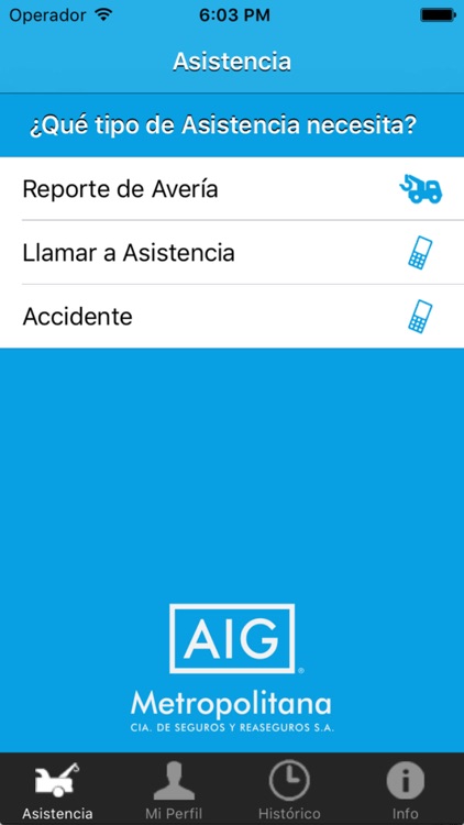 AIG METROASSIST