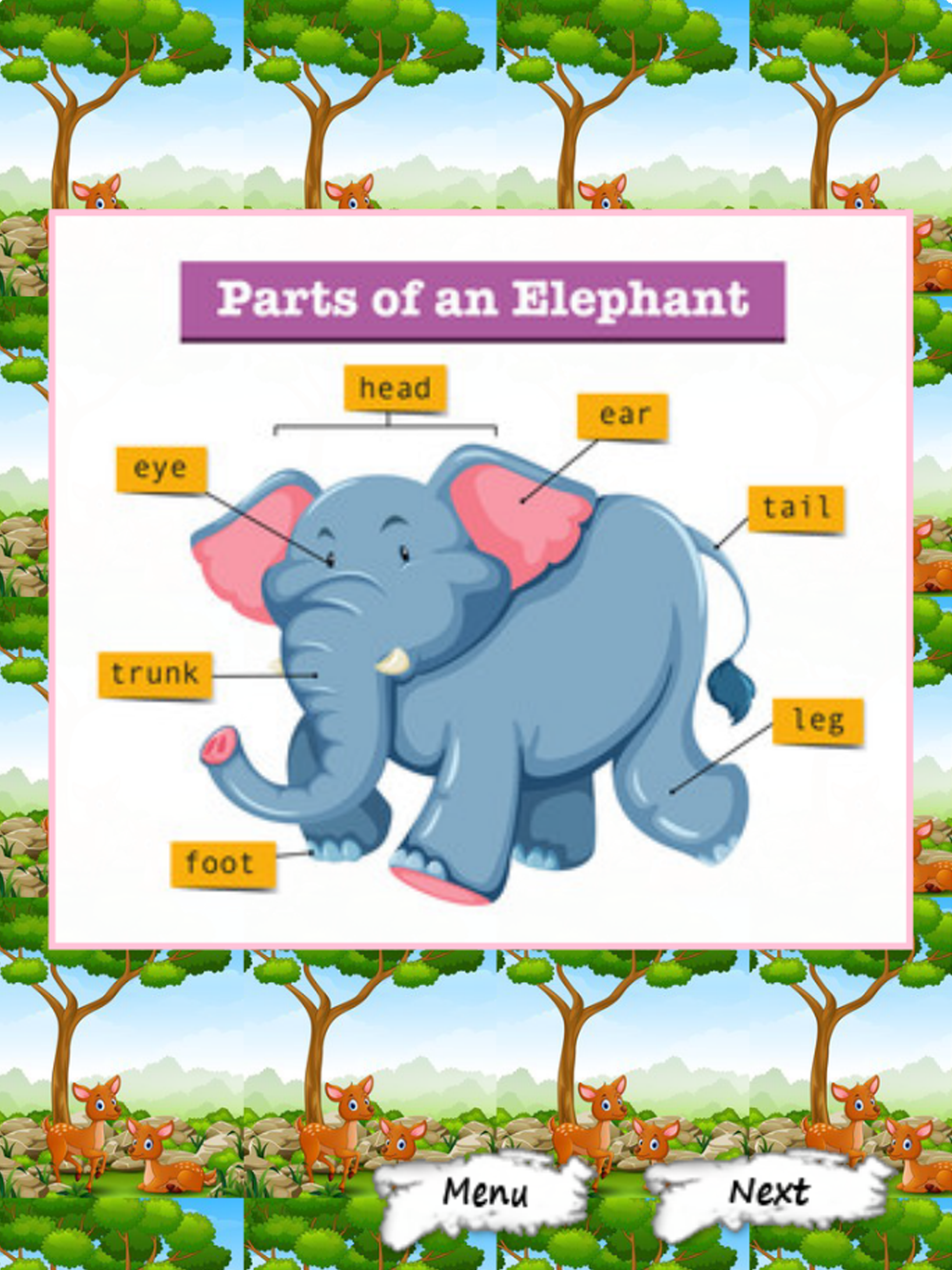 Pictures Of Animals And Their Body Parts Flashcard screenshot 6