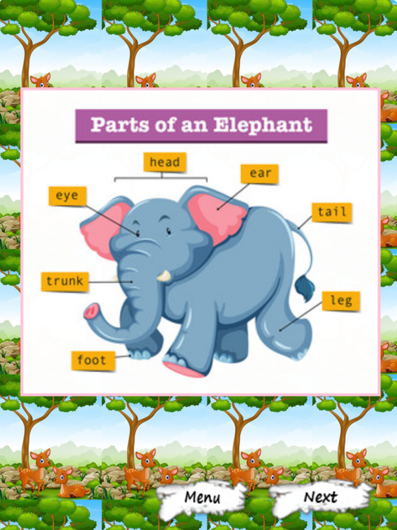 Pictures Of Animals And Their Body Parts Flashcard iPad screenshot