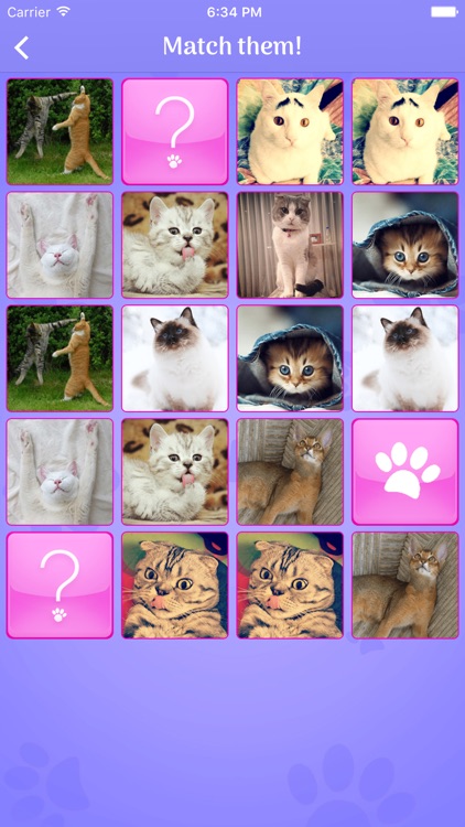 Cute Cats Memory Matching Game