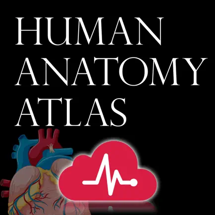 Human Anatomy Atlas + Cheats