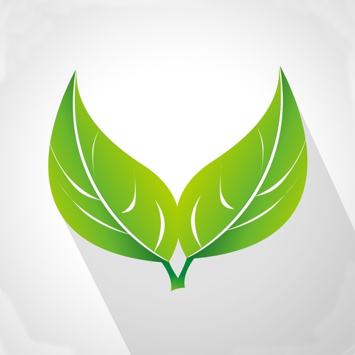 Herb Remedies - Natural Remedies for Home