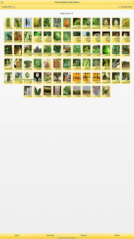 Game screenshot NPDN Citrus Diseases hack