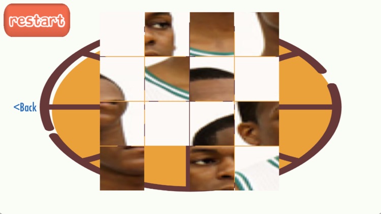 Chicago Basketball Player Puzzles 2017