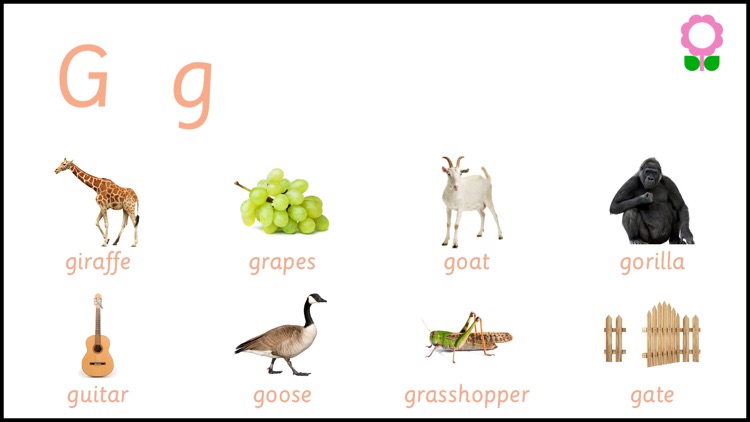 Alphabets Vocabulary for Kids screenshot-4