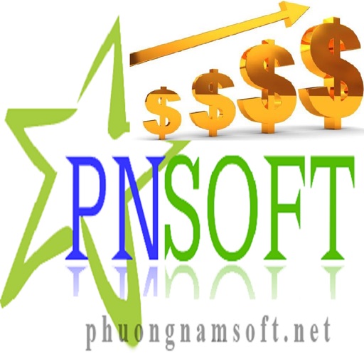 PhuongNamSoft Report