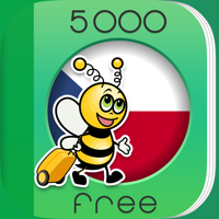 5000 Phrases - Learn Czech Language for Free