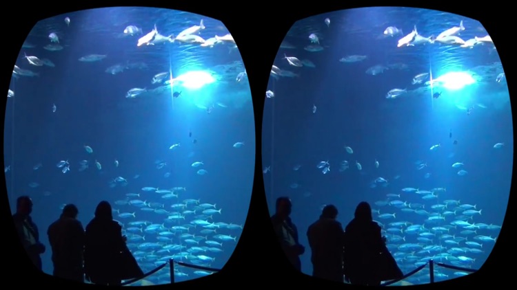 Aquarium Videos VR