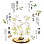 Download 中草药百科全书 app