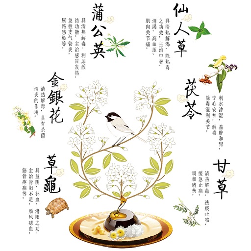 中草药百科全书 icon