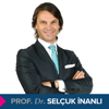 Estetik Simülatörü - Prof. Dr. Selçuk İnanlı - SELCUK INANLI