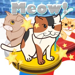 Meow Meow Curling