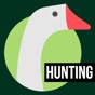 Hunting Calls for Goose app download