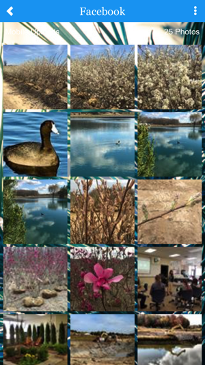 Davis Tree Farm(圖3)-速報App
