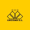 Criciúma Esporte Clube icon