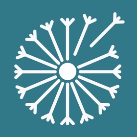 Dandelion Meditation Wellbeing