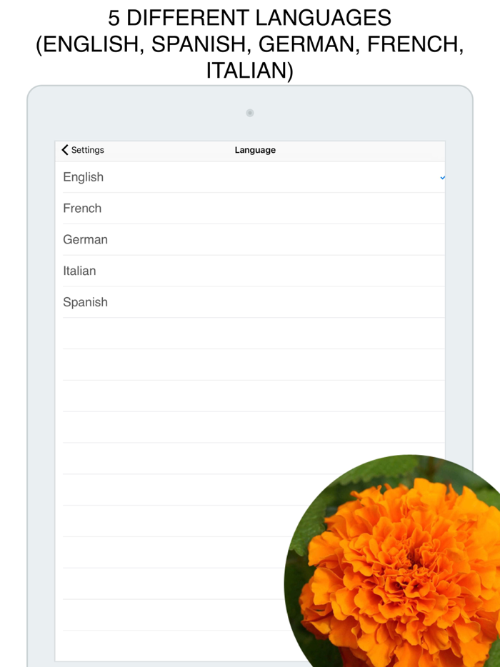 Flowers Flashcard for babies and preschool
