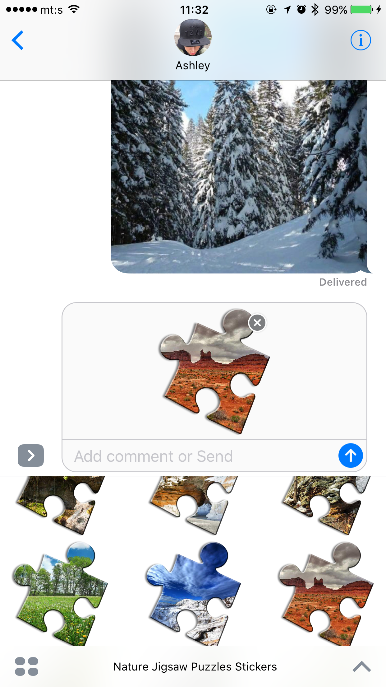 Nature Jigsaw Puzzles screenshot 11