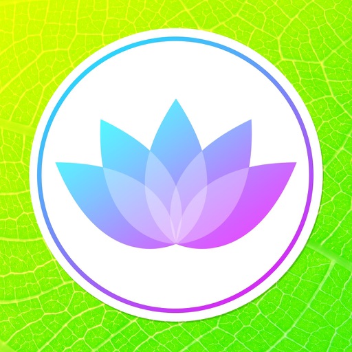 BigNight - Perfect Dinner Party Planner