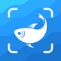 Picture Fish - Fish Identifier app download