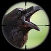 森林乌鸦猎人鸟射击模拟器