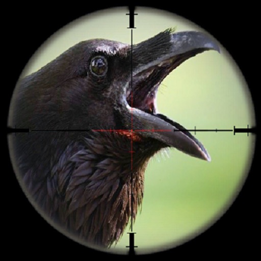 Forest Crow Hunter-Bird Shooting Simulator Icon