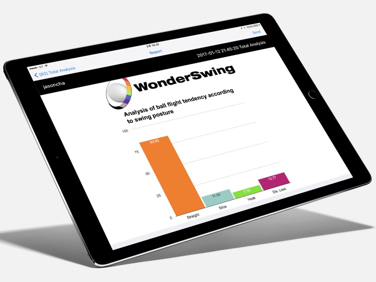 WonderSwingPro screenshot-3