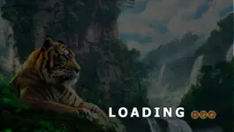 Game screenshot Tiger Simulator & Safari Jungle Animal hack