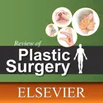 Review of Plastic Surgery App Problems