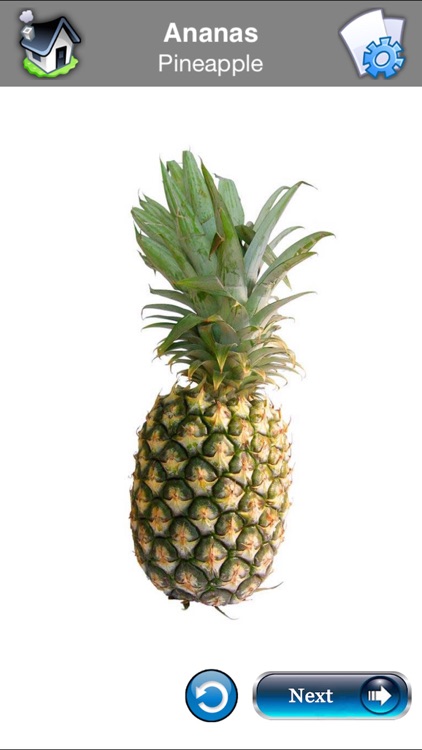 French Baby Flash Cards