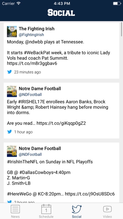 Fighting Irish screenshot-3