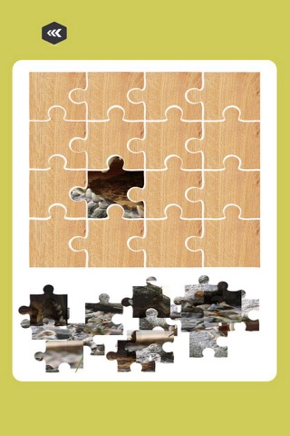 Crocodile - Mania Puzzles & Animal For Kids screenshot 2