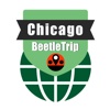 Chicago travel guide offline city metro train map