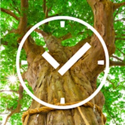 Japanese Nature Photo Clock