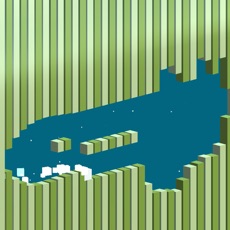 Activities of Magnet Run