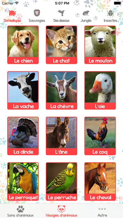 Screenshot #3 pour Images Et Cris D'animaux Pour Enfants and Bébé