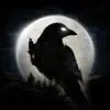 NIGHT CROWS problems & troubleshooting and solutions