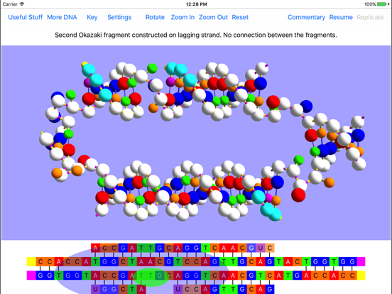 OnScreen DNA Replicationのおすすめ画像4