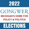 2022 Michigan Elections Positive Reviews, comments