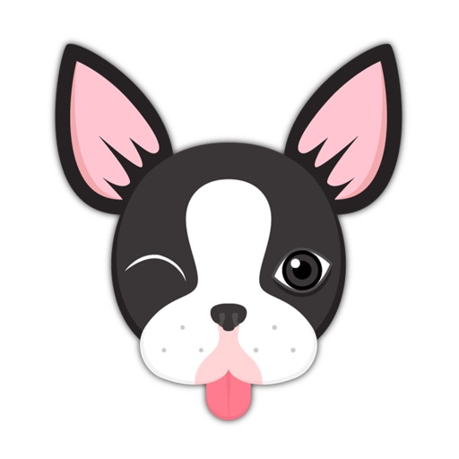 Boston Bull Terrier Keyboard